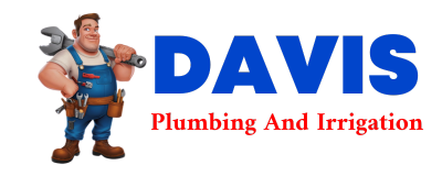 Trusted plumber in CHASSELL